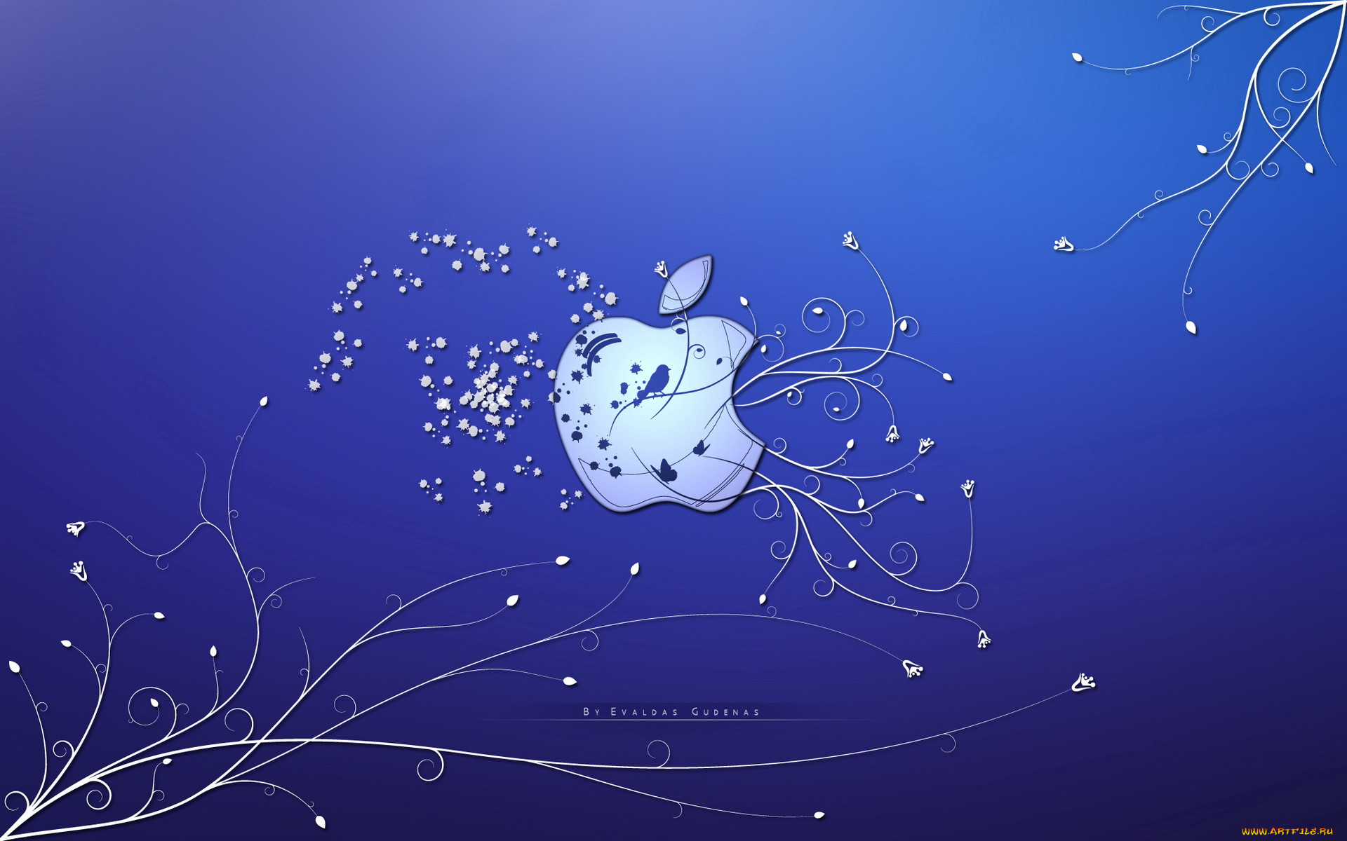 , apple